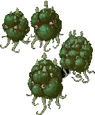 clustergasspore