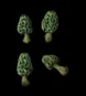 clustergreenmorel