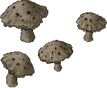 clusternimergan
