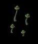 clustertessadyle