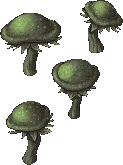 clustertrillimac