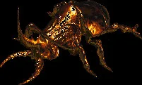 colossalblazingbeetle