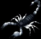 colossalfrostscorpion