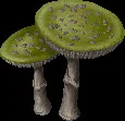 colossalkingscupmushroom