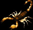 colossalsearingscorpion