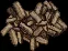 cordofwood