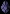 coreshadow