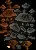 CortinariusMushroom