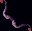 cupidbow