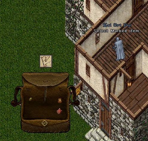 customwarptile6