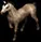 dapplehorsetoken