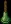 darkmiretempleholidaybell