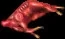 deercarcass