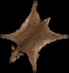 deerskinrug