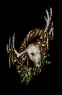 deerwreathwithsinew