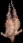 defeatheredturkey
