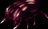 devourerbeetle