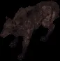 direwolf