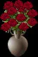 DozenRoses