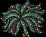 DragonfruitPlant