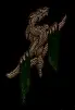 dragonwallstandard