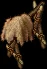 drapedsheepskins