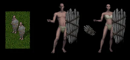 driftwoodshield
