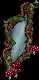 druidmirror