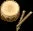 drums