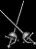 dualrapiers