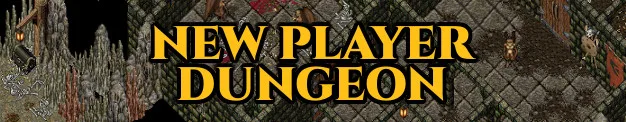 dungeonbanner newplayer