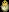 easterchick