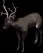elk