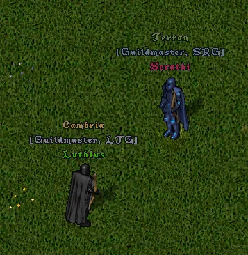 factionsflagging1