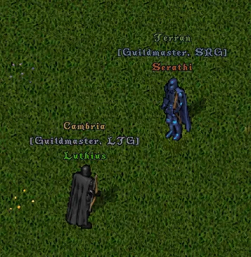 factionsflagging2