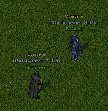 factionsflagging3