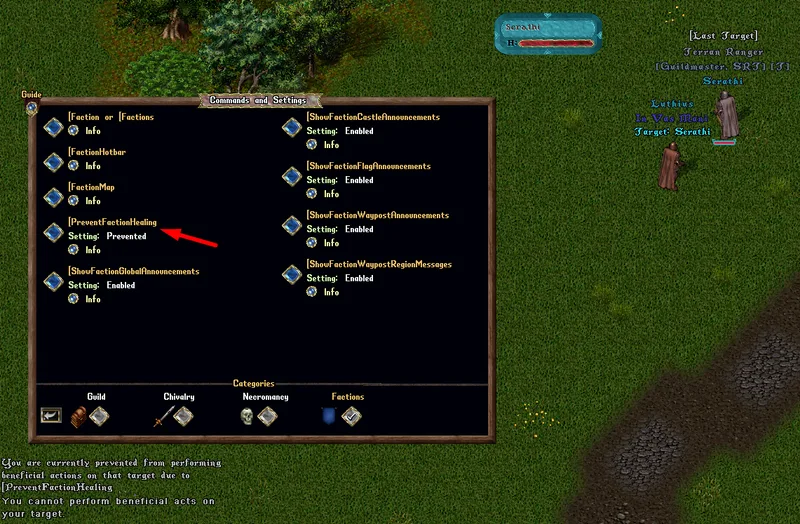 factionsflagging6