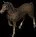 farmlandhorse2
