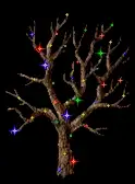 festivewalnuttree