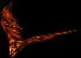 firebat