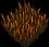 Firegrass
