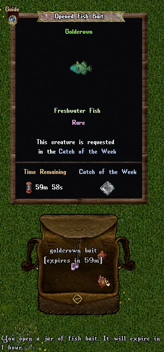 fishbait2