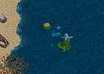 fishingfrenzy1