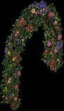 floralarchway