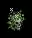 floralskull