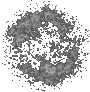 followerability elusiveform