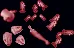 followerability giantcorpsebarrage
