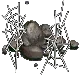 followerability huntingweb