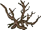 followerability rooted