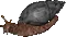 followerability shell